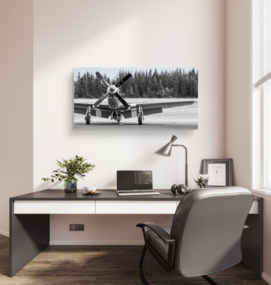 "Back in Black" - North American P-51D Mustang