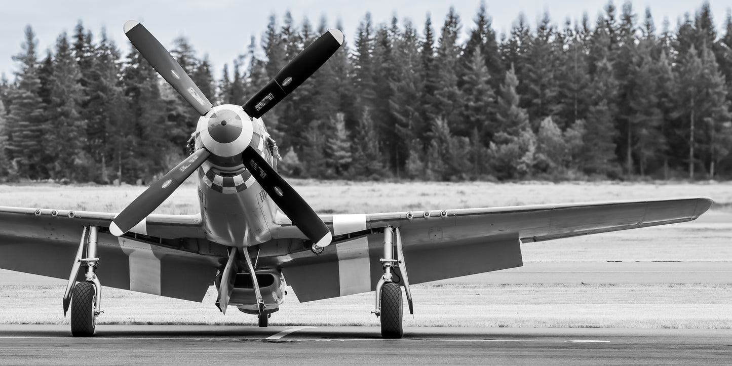 "Back in Black" - North American P-51D Mustang