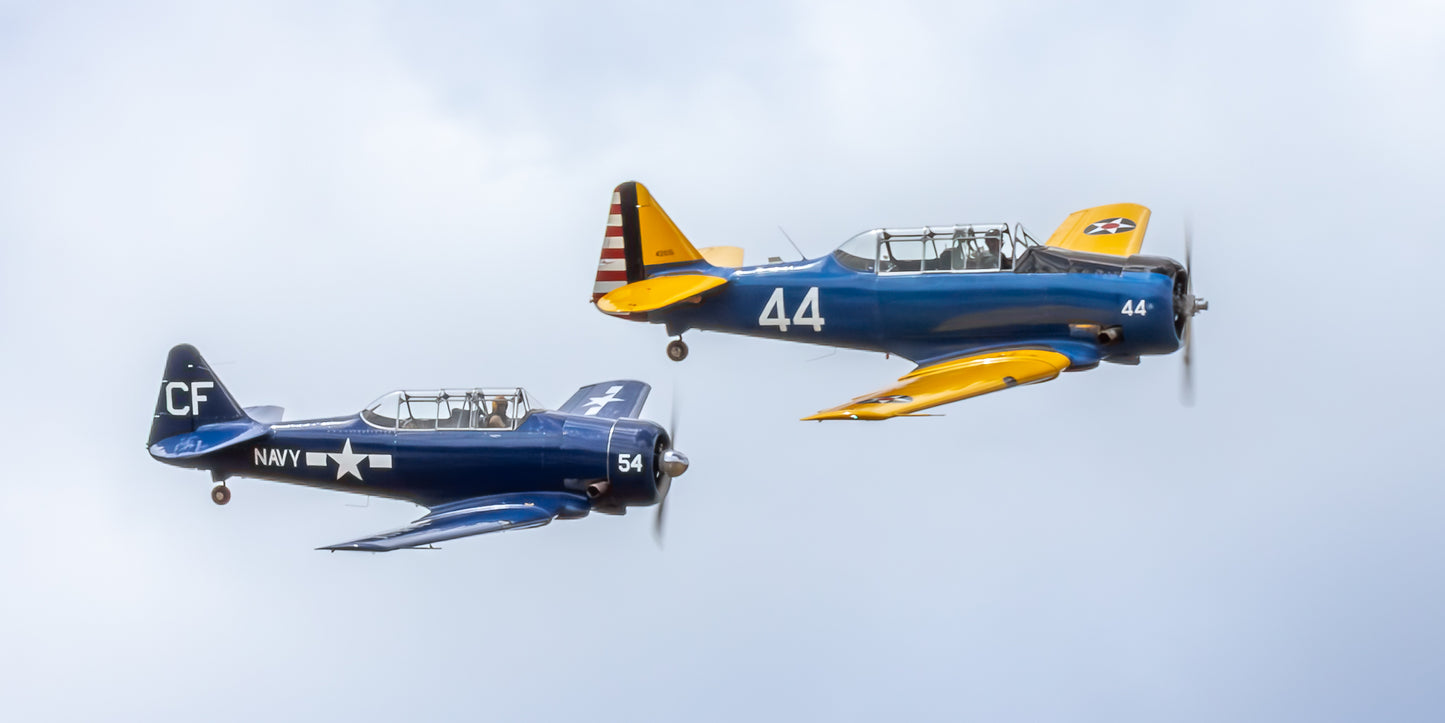 "Twin Texans" - North American T-6 and SNJ 'Texan'