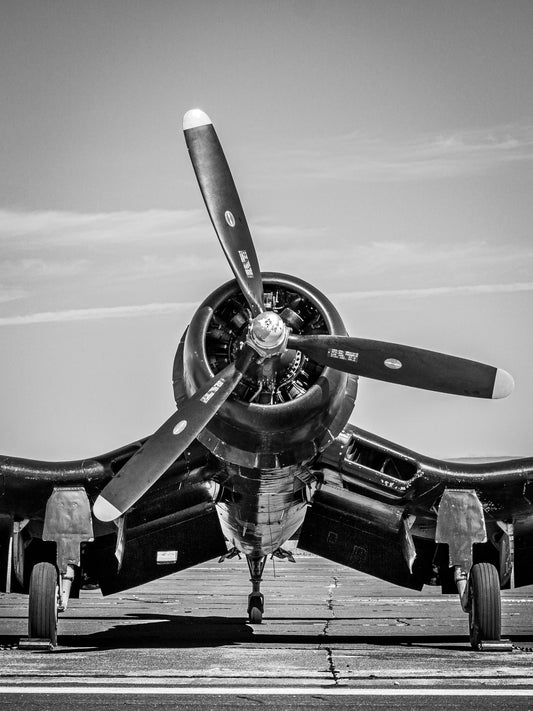 "Whistling Death" - Chance Vought F4U-1A Corsair, vertical