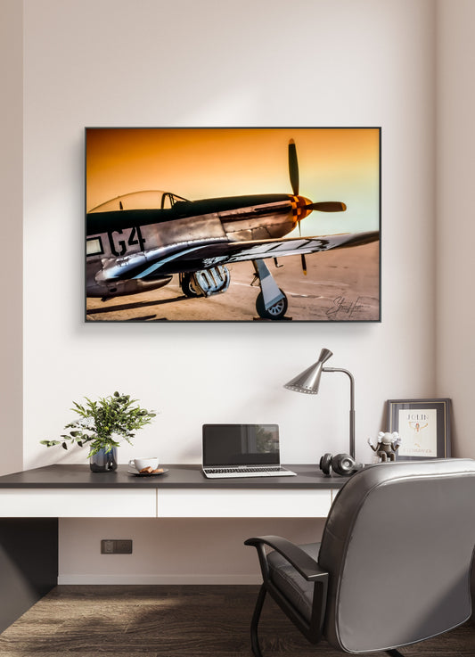 "Dark Horse" - North American P-51D Mustang