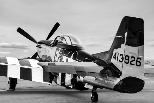 "American Beauty" - North American P-51D Mustang