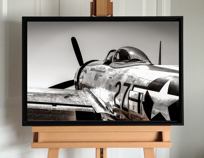 "Quiet Thunder" - Republic P-47D 'Tallahassee Lassie'