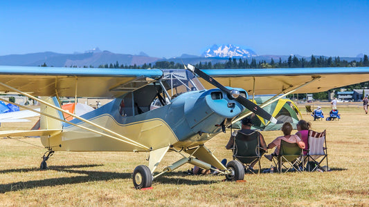 "Takin' it easy" - Piper Cub