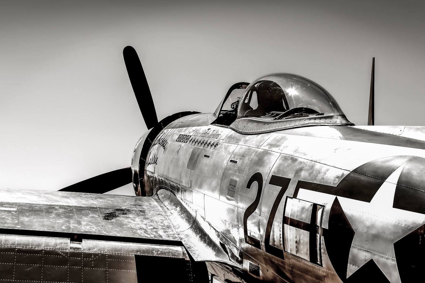 "Quiet Thunder" - Republic P-47D 'Tallahassee Lassie'