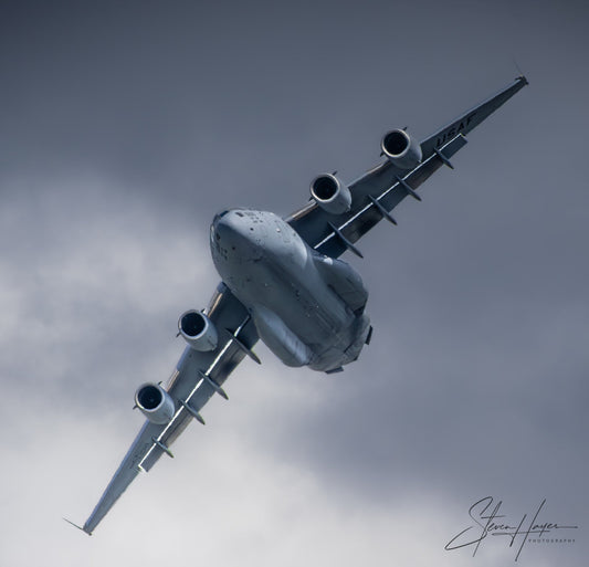 GRAY GHOST