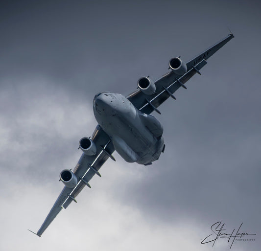 GRAY GHOST