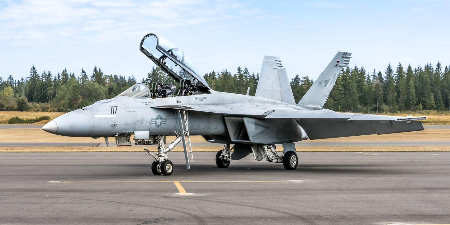 "Super Hornet" - Boeing McDonnell Douglas EA-18G