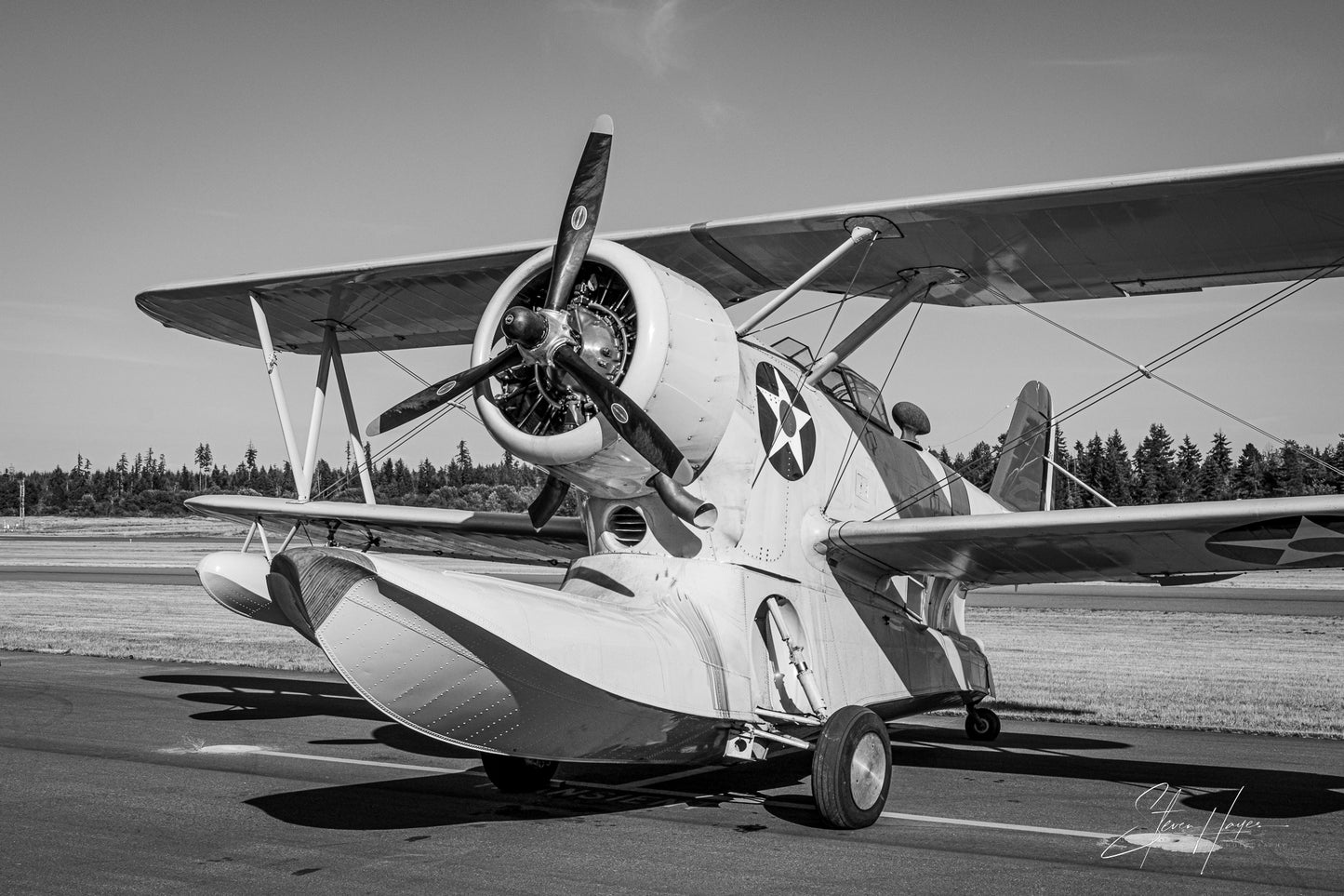 "Sitting Duck" - Grumman J2F-6