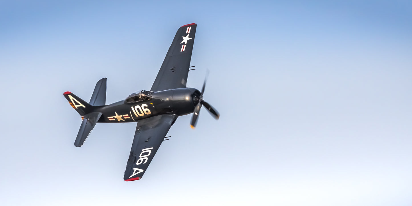 "Cat Attack" - Grumman F8F Bearcat