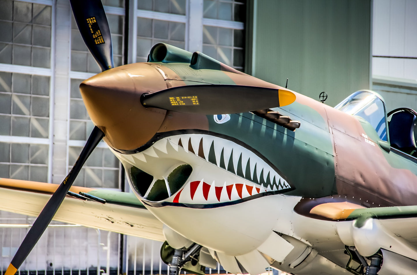 "Tomahawk" - Curtiss P-40C