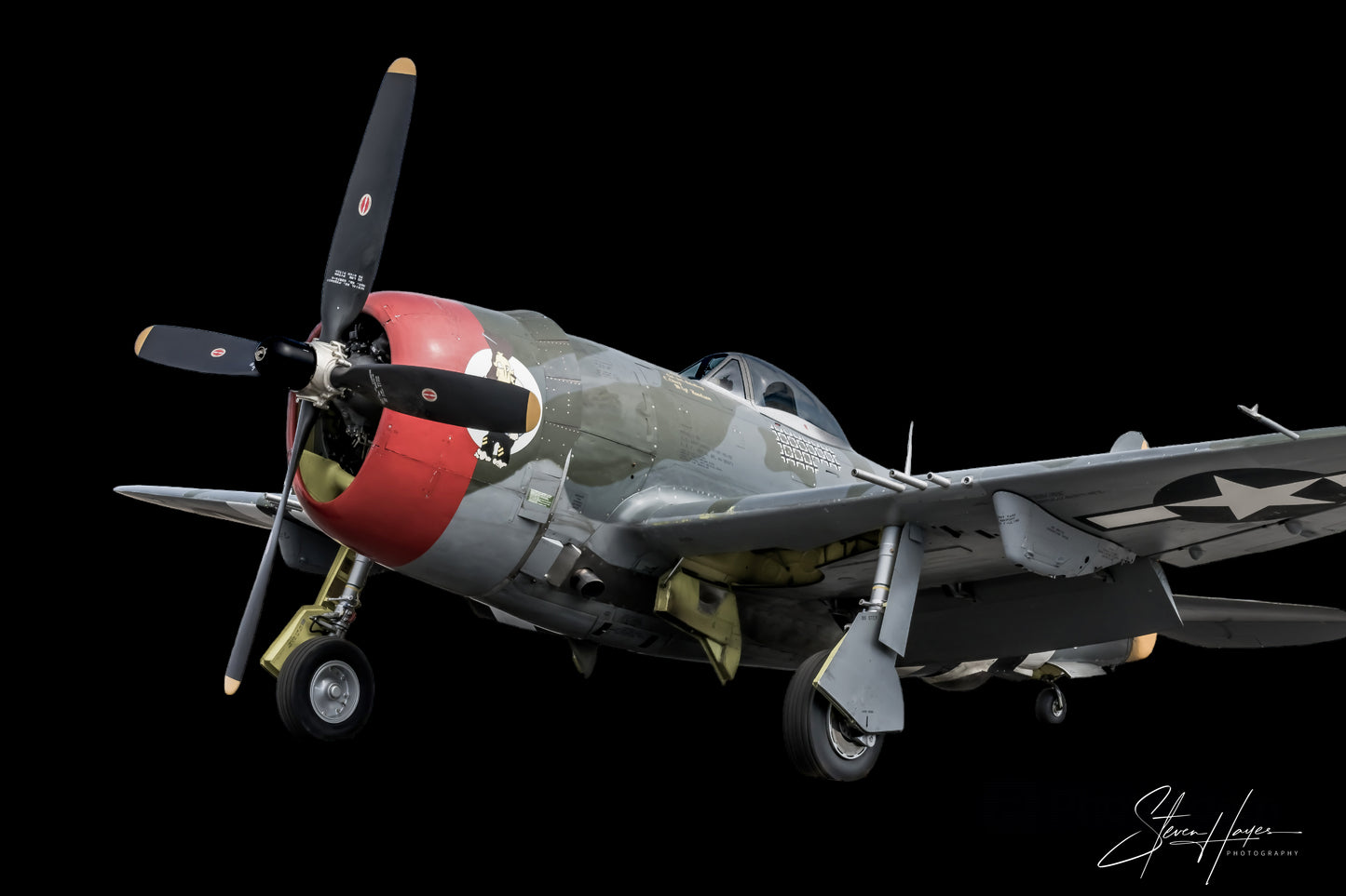 Signature Black Series - Republic Aviation P-47D