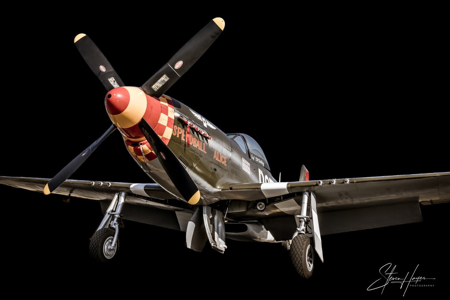 Signature Black Series - North American P-51D