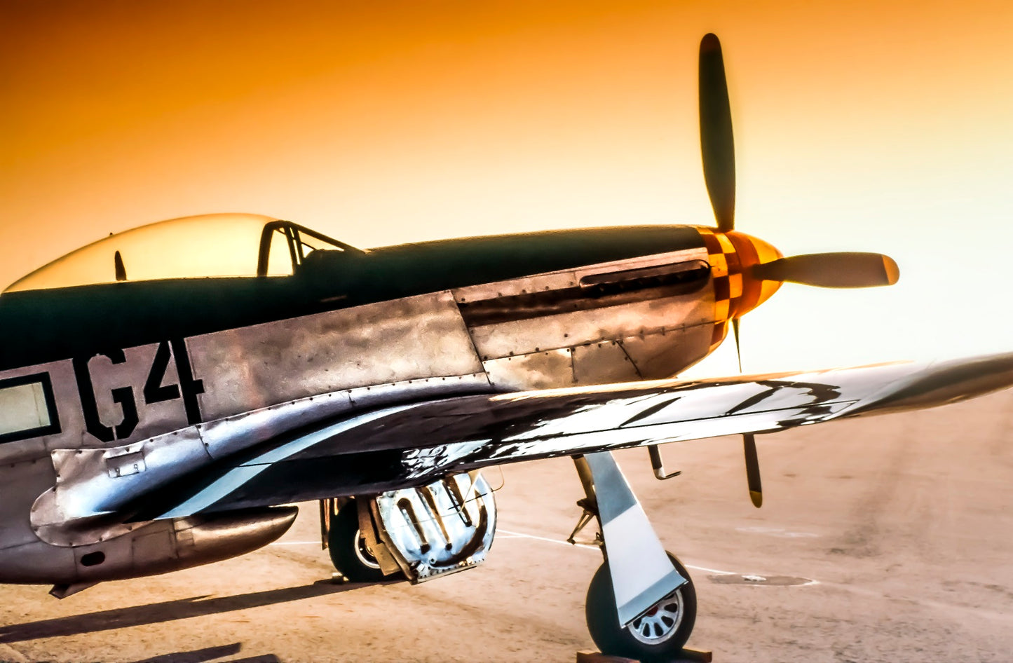 "Dark Horse" - North American P-51D Mustang