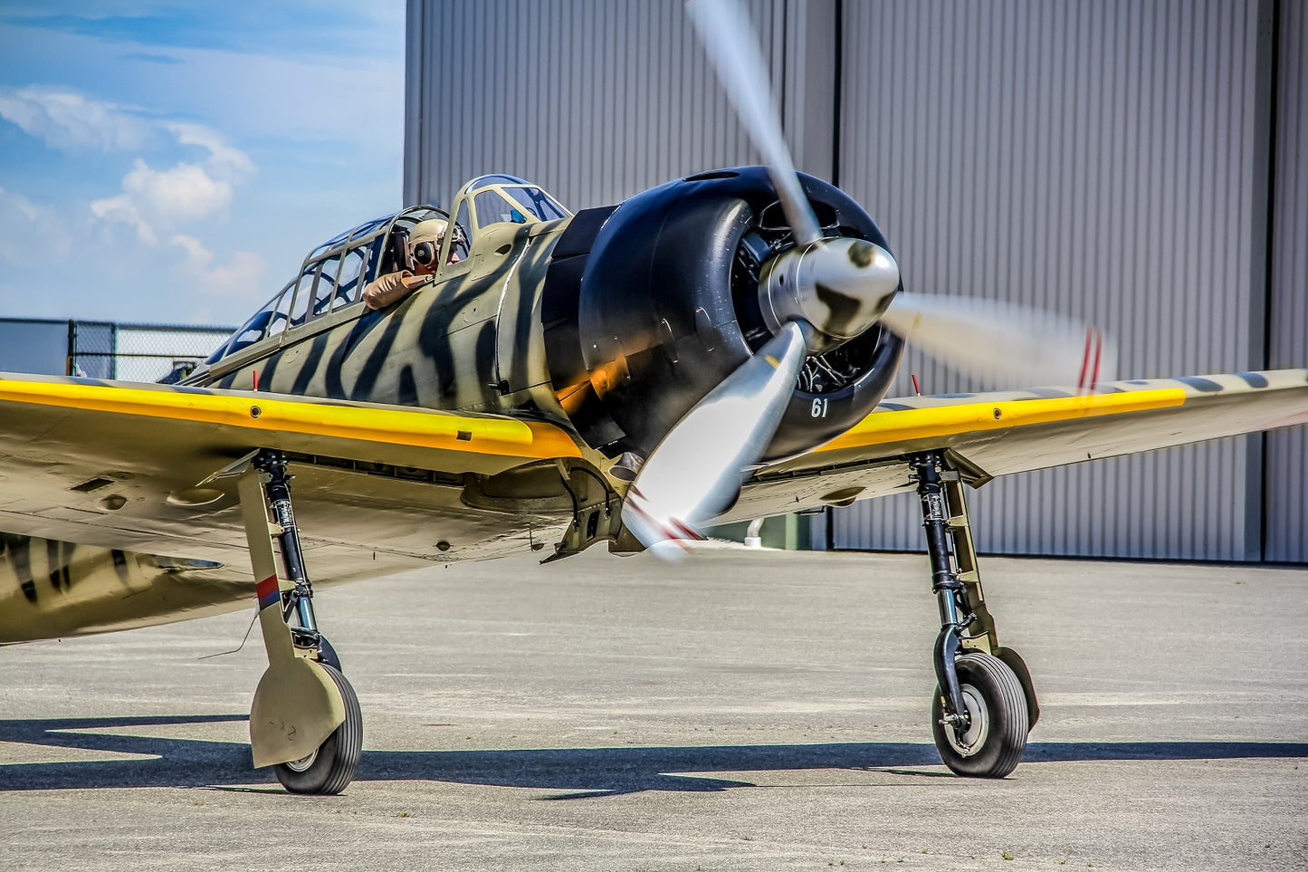 "Survivor" - Mitsubishi A6M3-22 Reisen ("Zero")